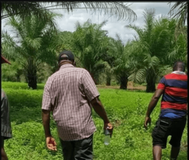 Focus Area: Regenerative Agriculture